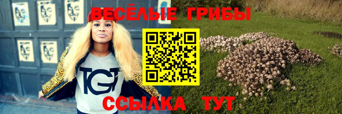 Рязань  Псилоцибиновые грибы Cubensis  Вход с VPN 