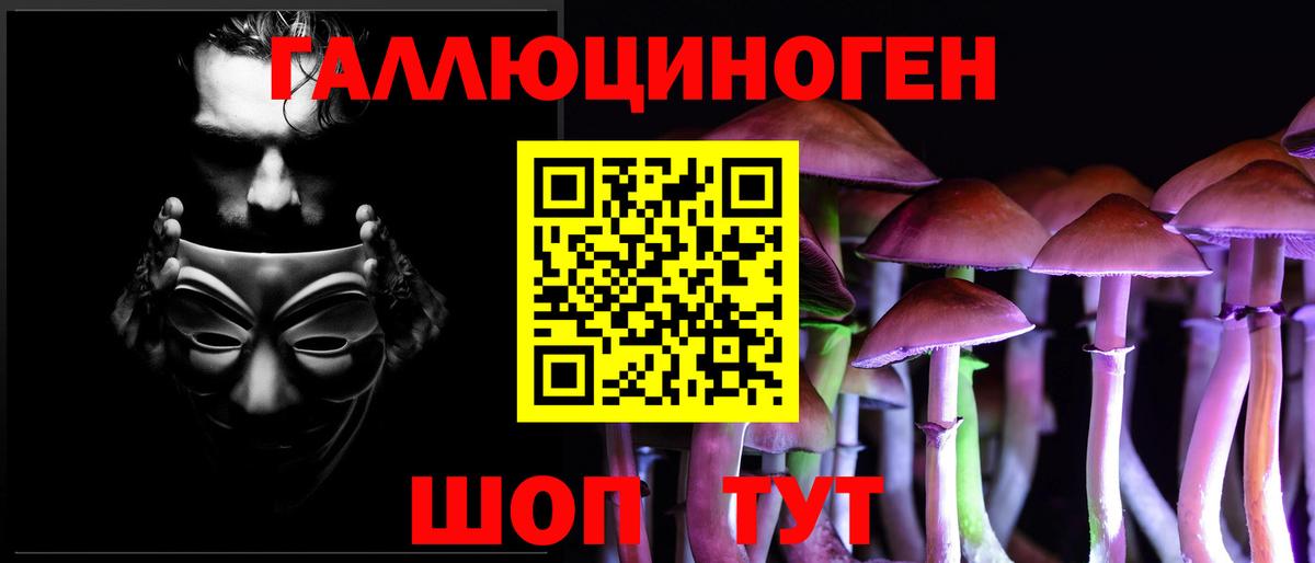 Псилоцибиновые грибы Psilocybe Рязань